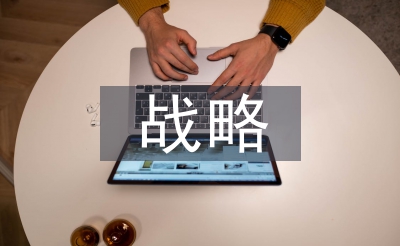 医药公司计谋阐发