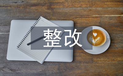 检测机构整改报告